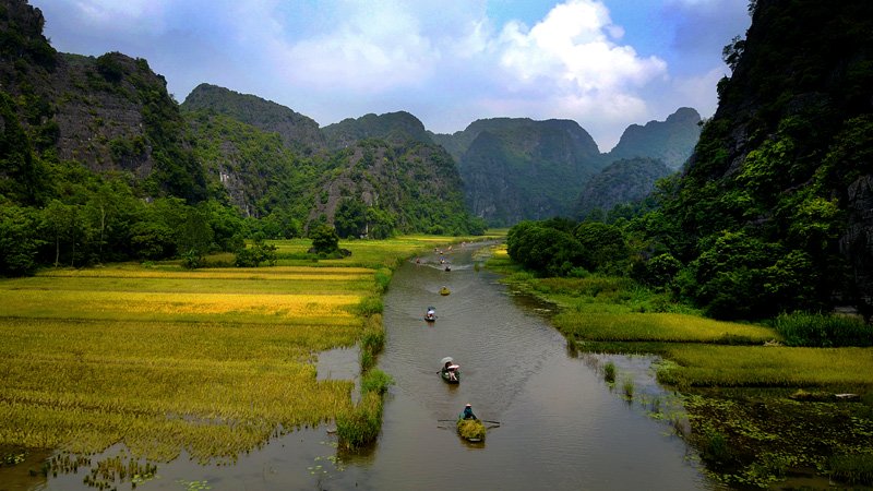 [-]Khách[-]Tây[-]ngỡ[-]ngàng[-]trước[-]vẻ[-]đẹp[-]Tam[-]Cốc[-]mùa[-]lúa[-]chín